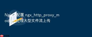 nginx 配置 ngx_http_proxy_module 处理大型文件流上传