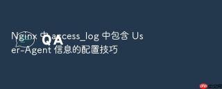 Nginx 中 access_log 中包含 User-Agent 信息的配置技巧