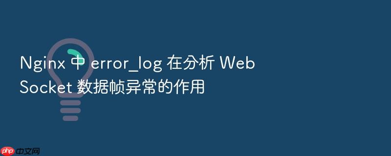 nginx 中 error_log 在分析 websocket 数据帧异常的作用