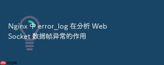 nginx 中 error_log 在分析 websocket 数据帧异常的作用