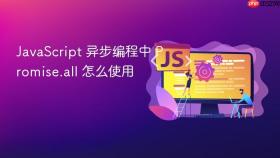 javascript 异步编程中 promise.all 怎么使用
