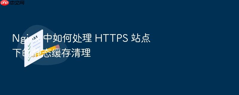 nginx 中如何处理 https 站点下的静态缓存清理