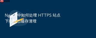 nginx 中如何处理 https 站点下的静态缓存清理