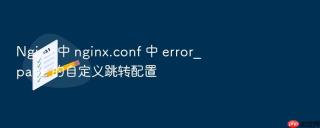 nginx 中 nginx.conf 中 error_page 的自定义跳转配置