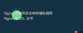 nginx 中如何安全地存储和调用 nginx 的 ssl 证书