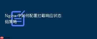 nginx 中如何配置拦截响应状态码策略