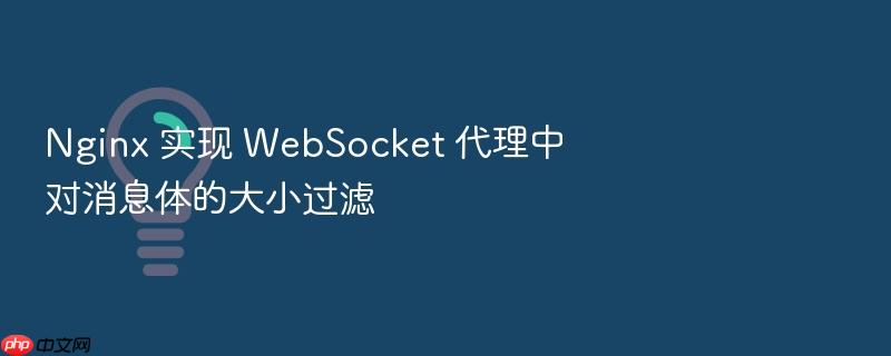 nginx 实现 websocket 代理中对消息体的大小过滤