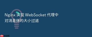 nginx 实现 websocket 代理中对消息体的大小过滤