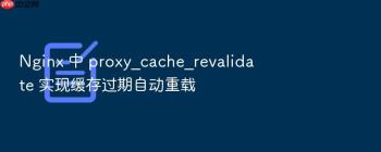Nginx 中 proxy_cache_revalidate 实现缓存过期自动重载