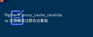 Nginx 中 proxy_cache_revalidate 实现缓存过期自动重载