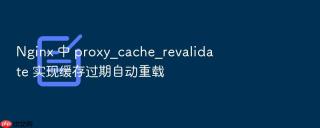 nginx 中 proxy_cache_revalidate 实现缓存过期自动重载