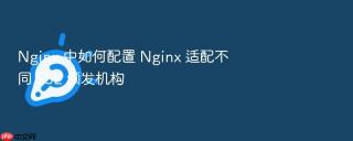 nginx 中如何配置 nginx 适配不同 ssl 颁发机构