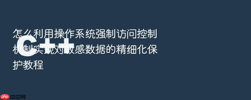 怎么利用操作系统强制访问控制机制实现对敏感数据的精细化保护教程