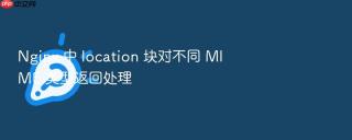 Nginx 中 location 块对不同 MIME 类型返回处理