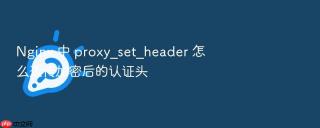 nginx 中 proxy_set_header 怎么透传加密后的认证头