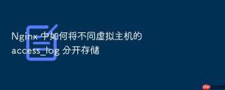 nginx 中如何将不同虚拟主机的 access_log 分开存储