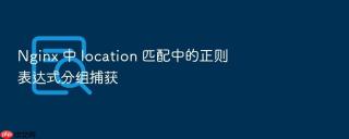 Nginx 中 location 匹配中的正则表达式分组捕获