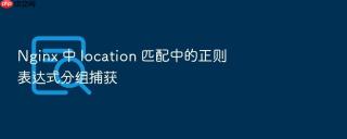 nginx 中 location 匹配中的正则表达式分组捕获