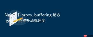 Nginx 中 proxy_buffering 结合 gzip 压缩提升加载速度