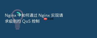 nginx 中如何通过 nginx 实现请求级别的 qos 控制