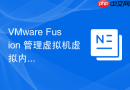 VMware Fusion 管理虚拟机虚拟内存管理策略设置