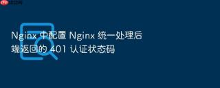 nginx 中配置 nginx 统一处理后端返回的 401 认证状态码