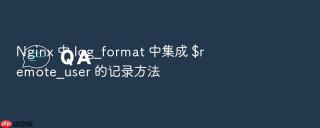 nginx 中 log_format 中集成 $remote_user 的记录方法