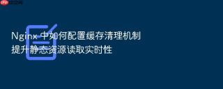Nginx 中如何配置缓存清理机制提升静态资源读取实时性