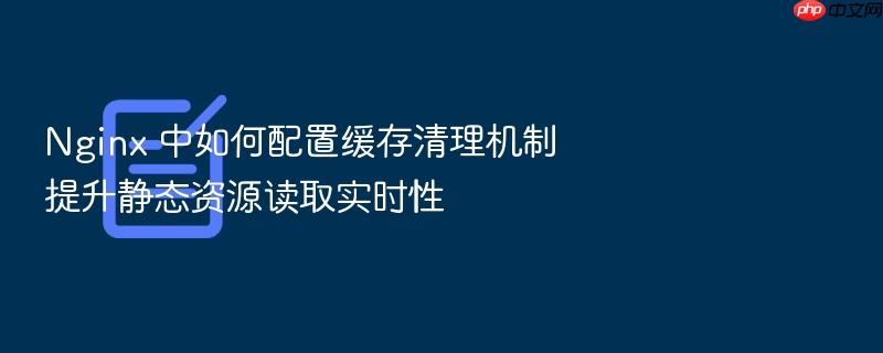 nginx 中如何配置缓存清理机制提升静态资源读取实时性
