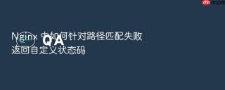 nginx 中如何针对路径匹配失败返回自定义状态码
