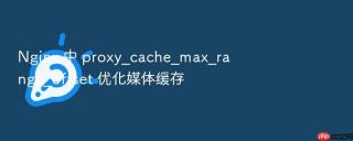 nginx 中 proxy_cache_max_range_offset 优化媒体缓存