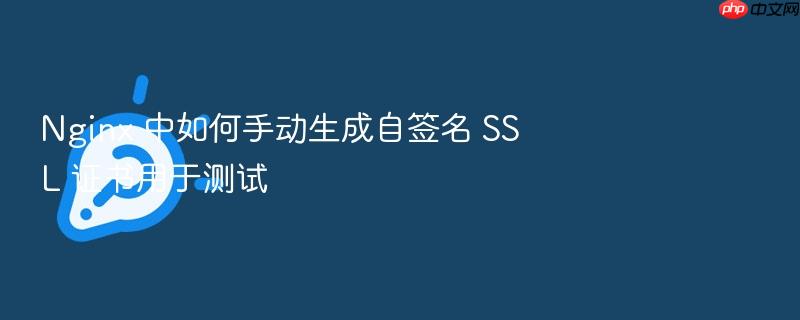 nginx 中如何手动生成自签名 ssl 证书用于测试