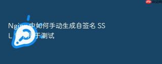 nginx 中如何手动生成自签名 ssl 证书用于测试