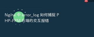Nginx 中 error_log 如何捕捉 PHP-FPM 后端的交互报错