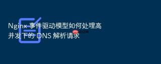 nginx 事件驱动模型如何处理高并发下的 dns 解析请求