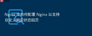 nginx 中如何配置 nginx 以支持自定义响应状态码页