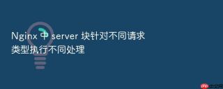 Nginx 中 server 块针对不同请求类型执行不同处理