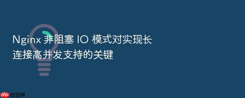 nginx 非阻塞 io 模式对实现长连接高并发支持的关键