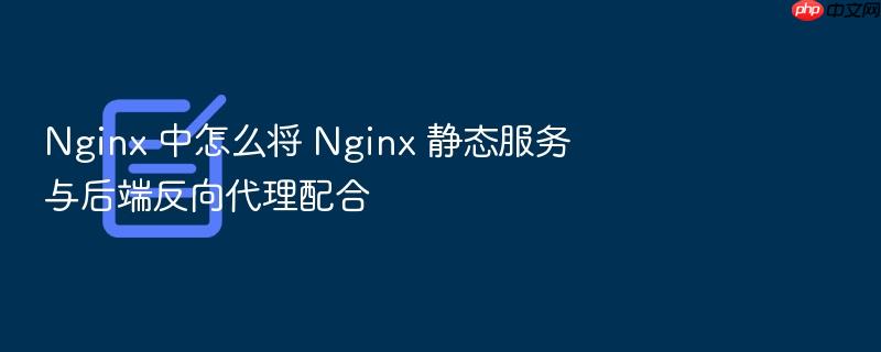 nginx 中怎么将 nginx 静态服务与后端反向代理配合