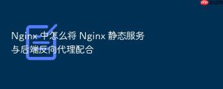 nginx 中怎么将 nginx 静态服务与后端反向代理配合