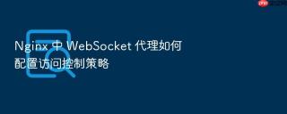 nginx 中 websocket 代理如何配置访问控制策略