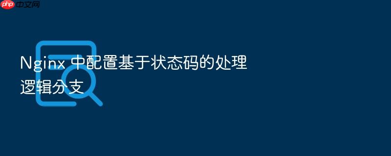nginx 中配置基于状态码的处理逻辑分支