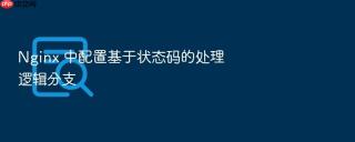 nginx 中配置基于状态码的处理逻辑分支