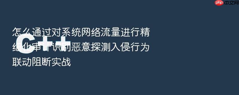 怎么通过对系统网络流量进行精细化审计识别恶意探测入侵行为联动阻断实战