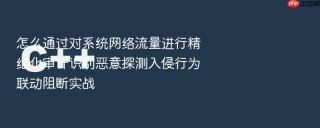 怎么通过对系统网络流量进行精细化审计识别恶意探测入侵行为联动阻断实战