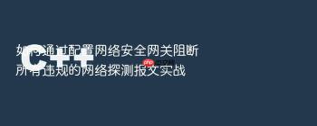 如何通过配置网络安全网关阻断所有违规的网络探测报文实战