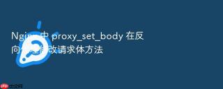 nginx 中 proxy_set_body 在反向代理修改请求体方法