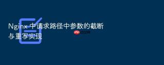 nginx 中请求路径中参数的截断与重写实现
