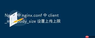 nginx 中 nginx.conf 中 client_max_body_size 设置上传上限