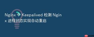 nginx 中 keepalived 检测 nginx 进程状态实现自动重启